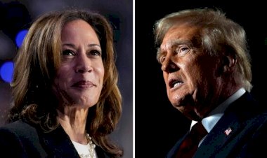 अमेरिकी राष्ट्रपति चुनाव ट्रम्प या हैरिस कौन किस पर भारी कहाँ किसको मिल रहीं लीड जानें ताज़ा आंकड़ा पढ़े पूरी ख़बर