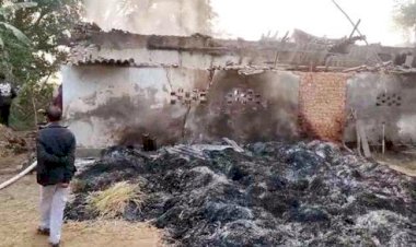 CG - 5 की मौत BREAKING : दिल दहला देने वाली घटना, किसान के घर में भीषण आग लगने से पांच मवेशी जिंदा जले, धान जलकर खाक.....