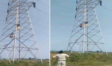 CG - पत्नी का हाई वोल्टेज ड्रामा : खुदकुशी करने 40 फीट ऊंचे बिजली टॉवर पर चढ़ी महिला, बोली - पति चरित्र पर शक करता है, तानों से परेशान हूं, फिर जो हुआ......