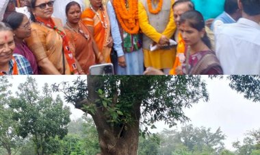 झारखण्ड में धुंआधार चुनाव प्रचार कर रहे सांसद संतोष पांडेय, सांसद बोले- झारखण्ड में भाजपा की सरकार बनाना हमारा लक्ष्य, जनता का मिल रहा अपार समर्थन।