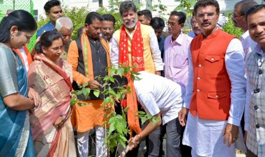 डॉ श्यामा प्रसाद मुखर्जी वार्ड में बीजेपी प्रदेशाध्यक्ष और विधायक किरण देव एवं चित्रकूट विधायक विनायक गोयल ने किया पौधा रोपण...
