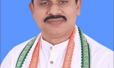 महाराष्ट्र विधानसभा चुनाव दिलीप लहरिया बनाए गए आमगांव सीट के प्रभारी प्रचार में जूटे पढ़े पूरी ख़बर