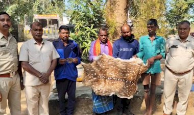 CG- तेंदुआ खाल की तस्करी : वन विभाग ने की बड़ी कार्रवाई, चीतल और तेंदुए की खाल की तस्करी करते 5 आरोपियों को रंगे हाथ दबोचा......