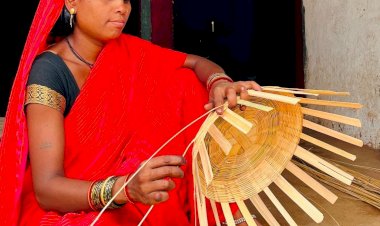 Chhattisgarh News : CM विष्णुदेव साय ने महिलाओं के खाते में दिये अब तक 6530.41 करोड़, महतारी वदंन ने बढ़ाया नारी शक्ति का मान...