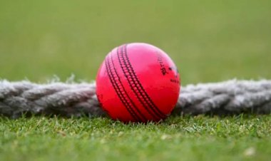 भारत और ऑस्ट्रेलिया के बीच दूसरा डे नाईट टेस्ट मैच आज से सुबह इतने बजे शुरू होगा मैच यहाँ देखें सीधा प्रसारण पढ़े पूरी ख़बर