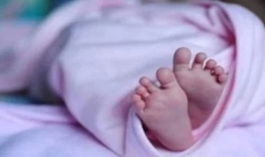 CG ब्रेकिंग : छत्तीसगढ़ में टीकाकरण के बाद एक और बच्चे की हुई मौत, परिजनों ने लगाया ये आरोप, जांच में जुटी पुलिस......