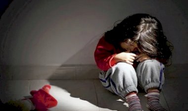 CG - बच्ची से दुष्कर्म : राजधानी में तीन साल की मासूम बच्ची को बनाया हवस का शिकार, मौसी के बेटे ने वारदात को दिया अंजाम, डॉक्टर पर भी होगी कार्रवाई......