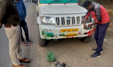 CG - चकाचौंध वाली लाइटें लगाने व यातायात नियमों के उल्लघंन पर 30 वाहन चालकों के खिलाफ चौकी खड़गवां पुलिस की सख्त कार्रवाई...