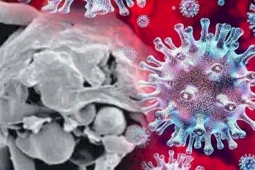 पहला केस: White Fungus की वजह से मरीज की आंत में हो गया छेद.... राजधानी में आया दुनिया का पहला मामला... चार घंटे तक चली सर्जरी.... फिर हुआ ये......
