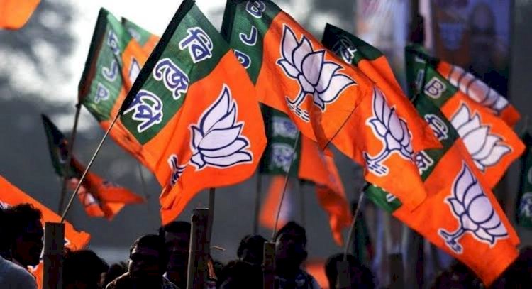 CG ब्रेकिंग: नगरीय निकाय चुनाव के लिए प्रभारियों की नियुक्ति.... BJP ने इन नेताओ को दी चुनाव की जिम्मेदारी... जानिए किन्हें कहां मिली जिम्मेदारी... देखें लिस्ट......