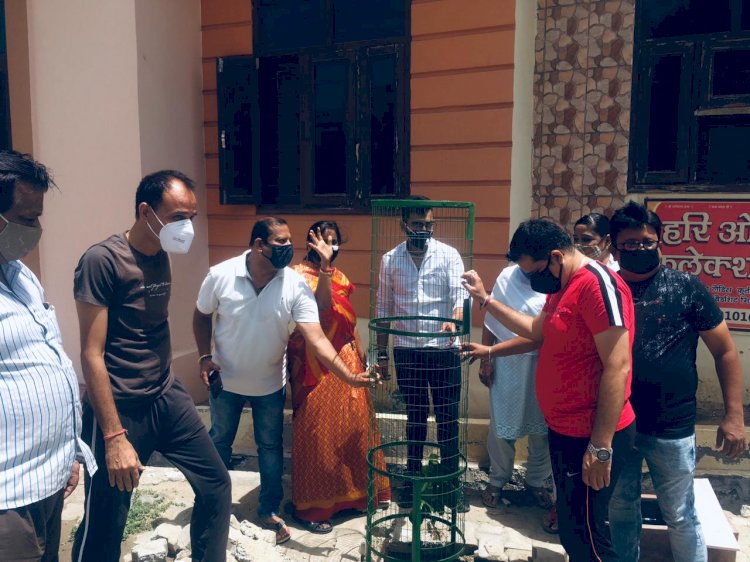 युवा पत्रकार आडवाणी ने वृक्षारोपण कर मनाया जन्मदिन, संकट से जूझ रहे परिवारों की सेवा का अवसर