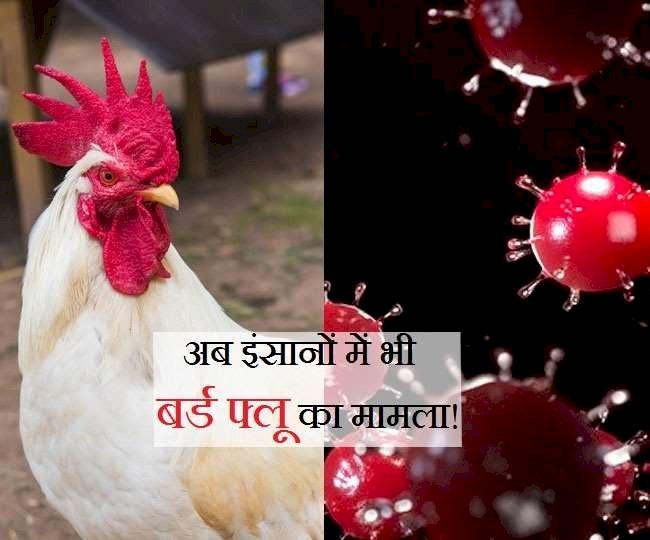 पहली बार H10N3 बर्ड फ्लू से संक्रमित हुआ इंसान.... वायरस की चपेट में आया 41 साल का शख्स.... आप भी जान लें इसके लक्षण.....
