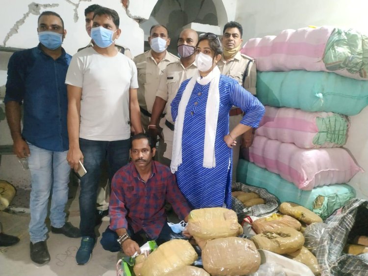 बिलासपुर पुलिस की बड़ी कार्यवाही अवैध रूप से मादक पदार्थ की बिक्री करने वाले एक आरोपी से बड़ी मात्रा में गांजे की जब्ती अब मगरमच्छ आएंगे पकड़ में?