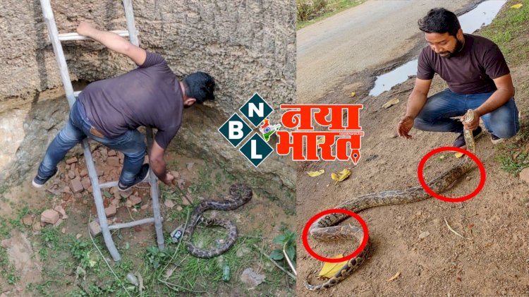 CG VIDEO ब्रेकिंग: कुएं में बैठे अजगर को लोगों ने पत्थरों से मारकर किया अधमरा.... फिर जो हुआ.... स्नेक रेस्क्यू टीम ने बचाकर जंगल में छोड़ा.... देखें VIDEO में घायल अजगर का रेस्क्यू......