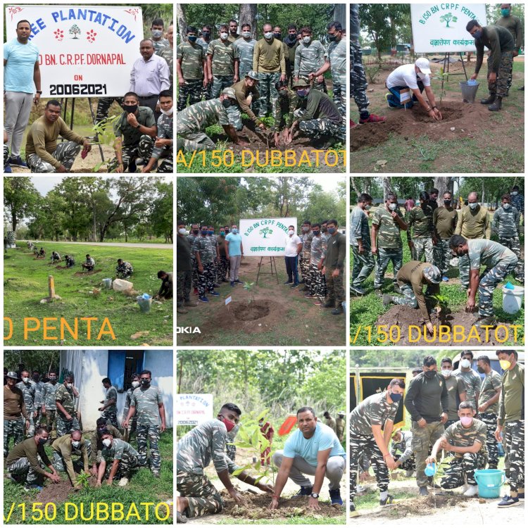 Tree plantation programme - सीआरपीएफ 150वी वाहिनी दोरनापाल ने पर्यावरण संरक्षण के लिए लगाए 250 पौधे...लोगो से अधिक से अधिक पौधे लगाने की अपील की