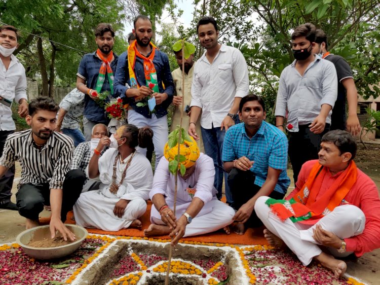 बालाजी फाउंडेशन का पौधारोपण अभियान: केंद्रीय मंत्री गजेंद्र सिंह शेखावत ने कहा-पौधों का संरक्षण भी जरूरी