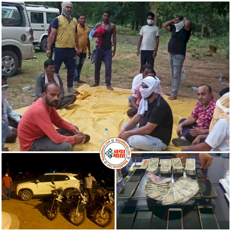 14 गिरफ्तार CG बड़ी खबर: जंगल मे चल रहा था लाखों का जुआ.... रेड कार्रवाई में पकड़े गये 14 जुआडी.... लाखों की नगदी भी जप्त......