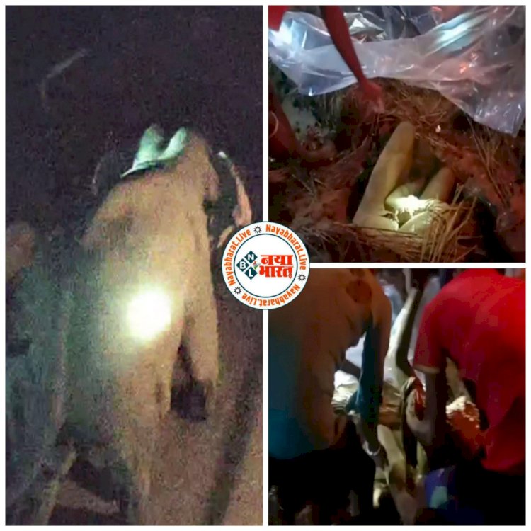 बिग CG न्यूज: हाथी के हमले से 2 मौत:ग्रामीणों पर हाथी का हमला, 2 को कुचलकर मार डाला… गुस्साए जंगली हाथी ने सूंड से उठाकर पटका…फिर जो हुआ,4 ने ऐसे भाग कर बचाई जान….