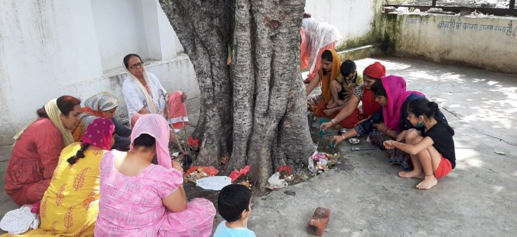 सिन्धी समाज ने बड़े हर्षोल्लास से मनाया गोगड़ा पर्व (नागपंचमी)