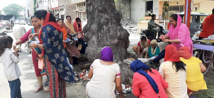 सिन्धी समाज ने बड़े हर्षोल्लास से मनाया गोगड़ा पर्व (नागपंचमी)