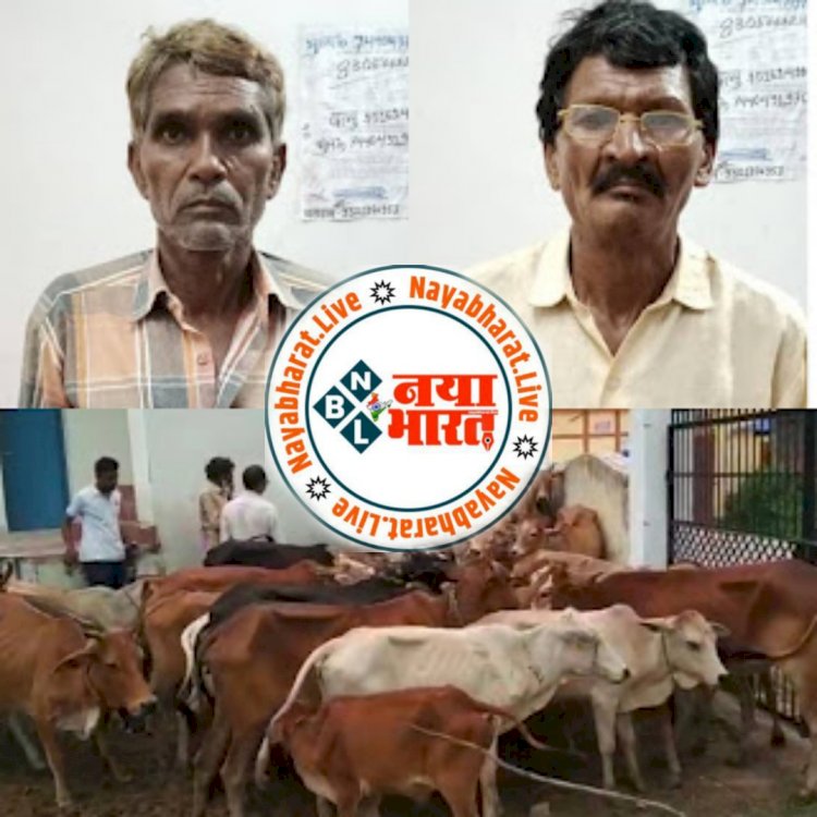 क्राइम: पशुओं की तस्करी करते दो आरोपी किया गया गिरफ्तार,आरोपियों के कब्जे से 47 नग गोवंश को किया गया बरामद