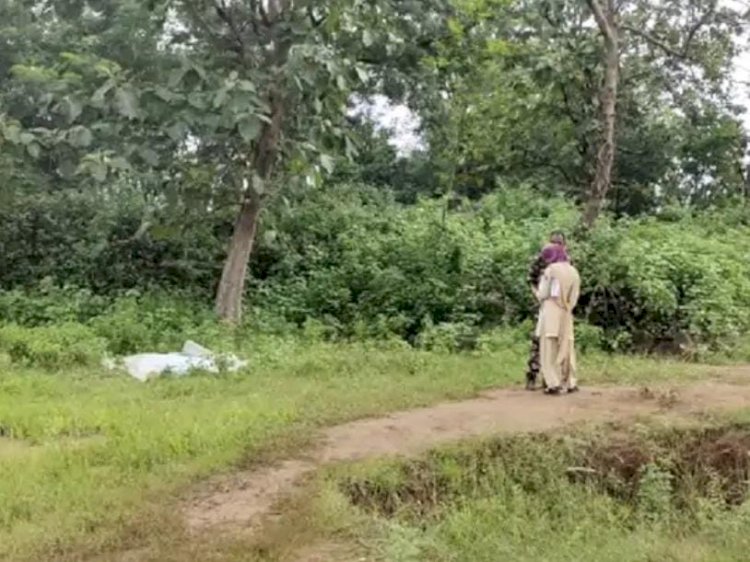 शौच के लिए घर से निकली महिला पर आदमखोर तेदुंए ने किया हमला, घसीटकर ले गया 5 किमी दूर, ग्रामीणों मे दहशत का माहौल पढ़े पूरी खबर