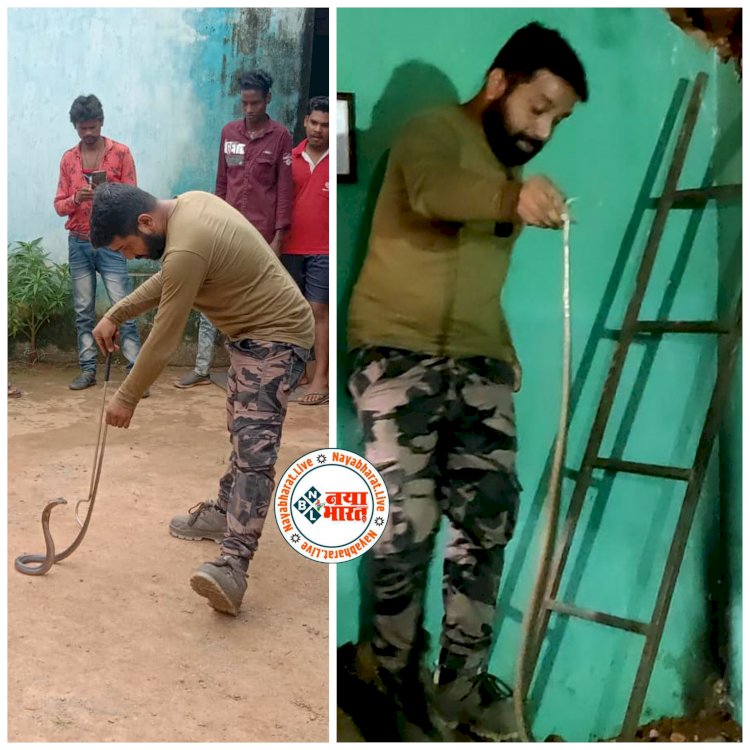 CG VIDEO ब्रेकिंग: रात भार सांप के आवाज से गूंजता रहा घर.... बिना सोए जागता रहा पूरा परिवार.... दीवार तोड़ते ही गुस्से से बाहर आया कोबरा सांप.... फिर जो हुआ.... देखें VIDEO......