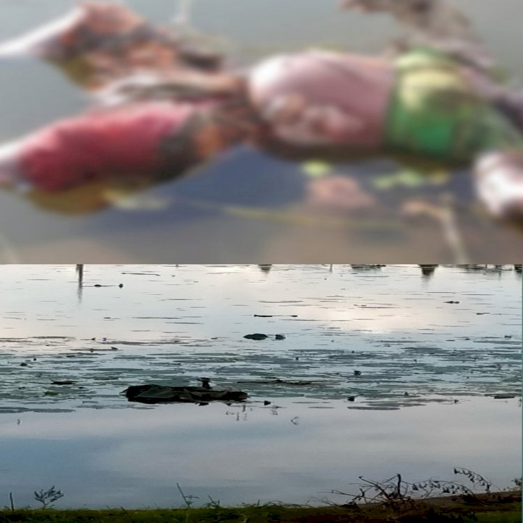 तालाब में तैरती मिली महिला की लाश। फैली सनसनी।