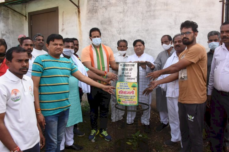 संसदीय सचिव एवं रायपुर पश्चिम विधायक विकास उपाध्याय कांग्रेस पार्टी के कार्यकर्ताओं के साथ मिलकर कोरोनाकाल के दिवंगतों की स्मृति में कर रहे हैं पौधरोपण......