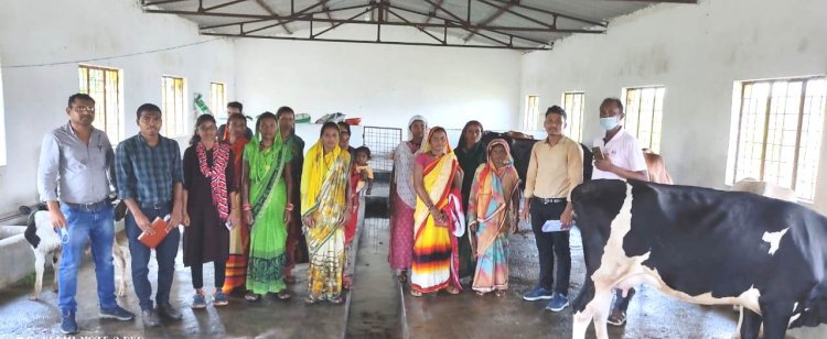डेयरीपालन से स्व-सहायता समूह की महिलाएं संवारेंगी अपनी जिंदगी