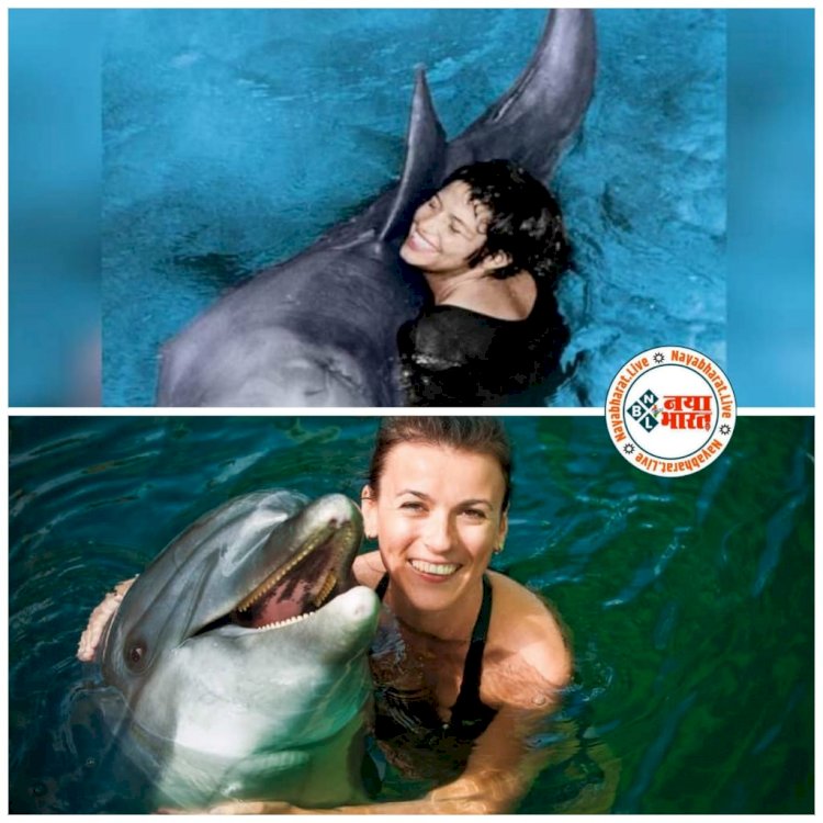 Dolphin के साथ सेक्स: महिला ने किया डॉल्फिन के साथ सेक्स करने का दावा.... 'ब्रेकअप' के बाद 'बॉयफ्रेंड' ने कर लिया सुसाइड.... फिर जो हुआ.... पढ़िए महिला का अजीबोगरीब कबूलनामा......