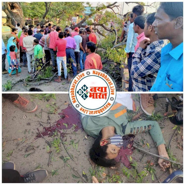 CG दर्दनाक सड़क हादसा : बाइक से जा रहे राहगीर पर गिरा नीम का पेड़..दबने से मौके पर मौत...इलाके में इस तरह का पहला हादसा.. पढ़िए पूरी खबर..