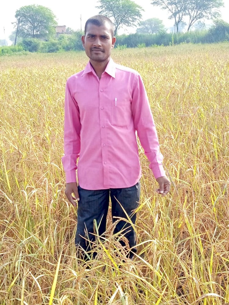 CG:कई बीमारियों में कारगर ब्लैक राइस की 50 एकड़ में खेती कर रहे बेमेतरा जिले के किशोर