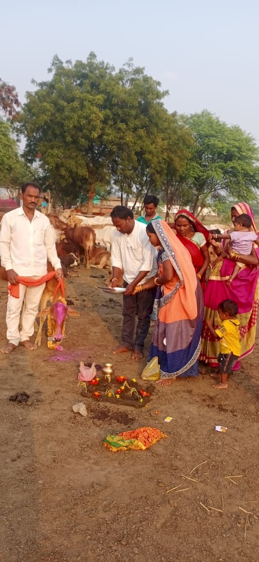 लोहर्सी में बड़े धूम धाम से मनाया गया गोवर्धन पूजा का त्यौहार सरपंच रंजीत भैना ने पंचायत के सभी जनप्रतिनिधियों के साथ मिल कर गोठान में गौ माता कि पूजा अर्चना कर लिया आशीर्वाद पढ़े पूरी खबर