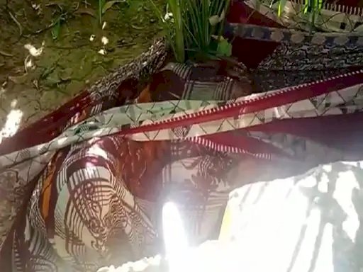 CG में दिल्ली की युवती की हत्या : लाश साड़ी में बंधी हुई थी कॉलेज के पास फेंका……3 से 4 दिन पुरानी लाश.…आधार कार्ड भी मिला, फैली सनसनी ,जांच में जुटी पुलिस……