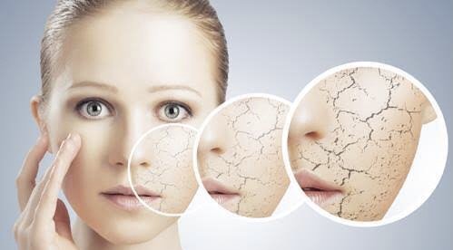 Winter Skin Care Tips: सर्दियों में फॉलो करें ये टिप्स, रूखी स्किन से मिलेगा छुटकारा, हमेशा चमकता रहेगा चेहरा….ठंड के मौसम में फॉलो करें ये 6 टिप्स…….