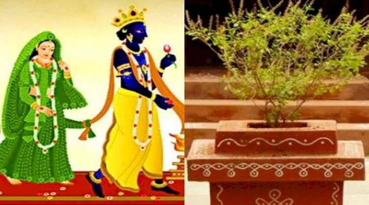 देवउठनी एकादशी आज: तुलसी विवाह के मुहूर्त और विधि.... ये गलतियां पड़ सकती हैं भारी.... नोट कर लें पूजा-विधि, शुभ मुहूर्त और सामग्री की पूरी लिस्ट.... अब चातुर्मास खत्म होने से शुरू होंगी शादियां....