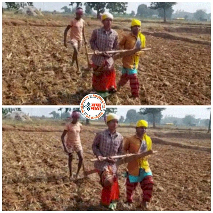 CG- बैल नहीं थे तो हल में जुती थीं बेटियां: गरीब पिता की मदद के लिए बैलों की जगह खुद जुत कर खेती करने वाली बेटियों के हौसले को CM ने सराहा.... 4 लाख की मदद मंजूर की.... गरीबी से तंग पिता बेचना चाहता था खेत....