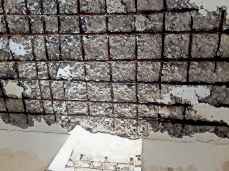 नगरी ब्लाक के वनांचल क्षेत्र के स्कूल का हाल बेहाल...4 साल से दूसरे के मकान में चल रही छात्र-छात्राओं की पढ़ाई... पढ़िए पूरी खबर...