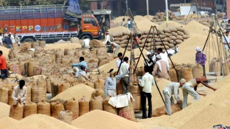 पुराने बारदाना में 25 रूपए की राहत मिलने से जिले में धान खरीदी में आई तेजी