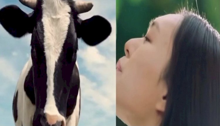 Seoul Milk Advertisement Video: डेयरी कंपनी ने गाय से की महिलाओं की तुलना!….विज्ञापन में गाय की जगह दिखाईं महिलाएं…फिर जो हुआ…सोशल मीडिया पर जमकर मचा बवाल….जाने पूरा मामला…देखे विडियो……..