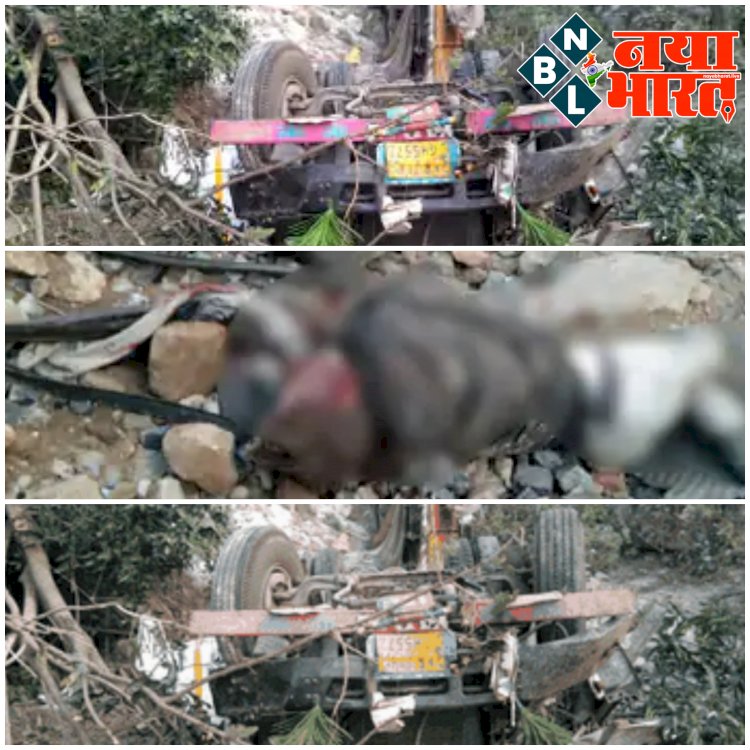 CG- 2 लोगों की दर्दनाक मौत: भीषण सड़क हादसा.... ट्रेलर अनियंत्रित होकर 150 फीट नीचे खाई में गिरा.... ड्राइवर और खलासी की मौके पर ही मौत.....