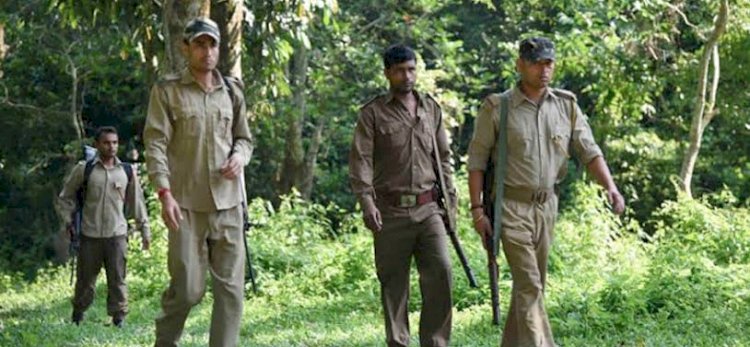 CG जॉब अलर्ट: वन विभाग में 291 पदों पर निकली है भर्ती.... 12वीं पास करें आवेदन.... जल्द करें आवेदन.... सिर्फ 12 दिन है शेष... इतनी मिलेगी सैलरी.... देखिए डिटेल.....