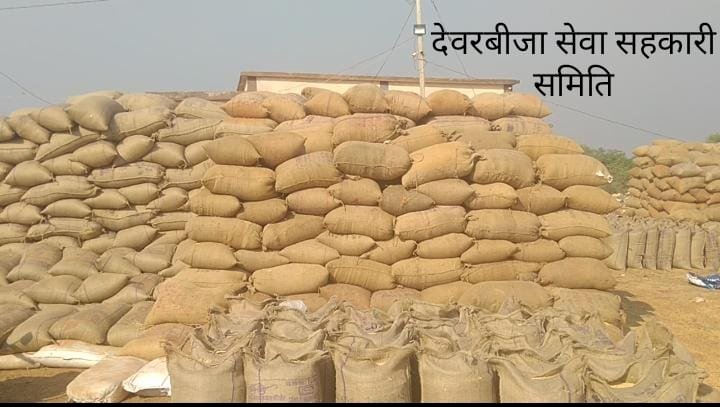 CG BEMETARA:देवरबीजा धान खरीदी केंद्र में जाम होने लगा धान...नहीं हो रहा है सही समय पर परिवहन... और बारदाने की भी गंभीर समस्या