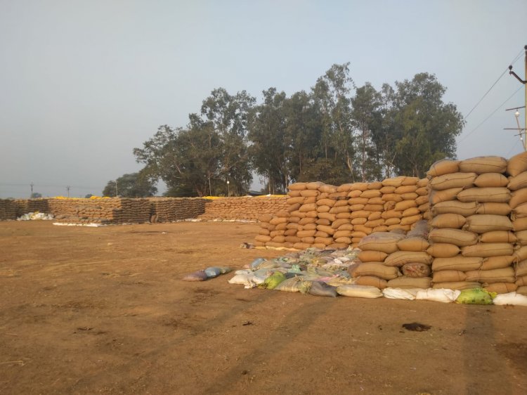 CG BEMETARA:कलेक्टर के मौखिक आदेश पर देवरबीजा सहित पुरे ज़िलेभर में बंद रहा सोमवार को धान खरीदी की प्रक्रिया, तीन दिनों से खरीदी प्रभावित होने पर किसान हुए परेशान