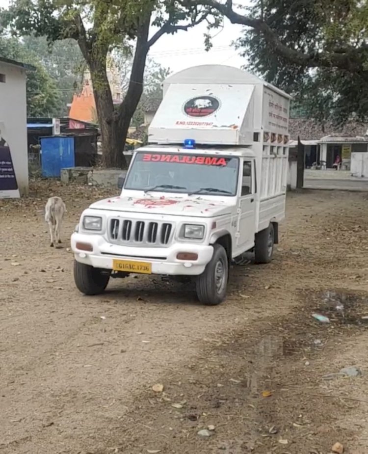 एम्बुलेंस मिलते ही गौ सेवा मंड़ल के कार्यो में आई तेजी।