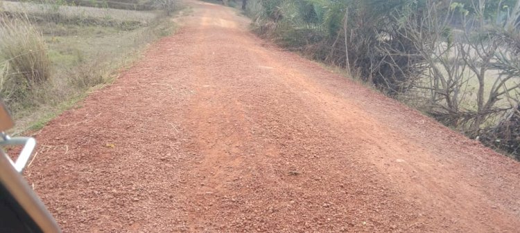 ग्राम पंचायत गम्हरी से पिटीसपाल (नयापारा) को जोड़ने वाली सड़क से ग्रामीणों को परेशानी