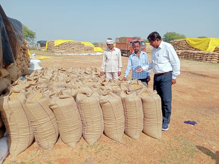 CG:बेमेतरा जिले मे 6.70 लाख मीट्रिक टन धान का उपार्जन...जिले के एक लाख 37 हजार किसानों ने बेचा समर्थन मूल्य पर धान...धान खरीदी की व्यवस्था से जिले के सभी कृषक भाई खुश है एवं समय पर राशि मिलने से किसानों मे उत्साह का माहौल है..सभी समितियों के धान खरीदी प्रभारियों को धान सुरक्षित रखने हेतु निर्देशित किया गया है.. पढिए पूरी खबर