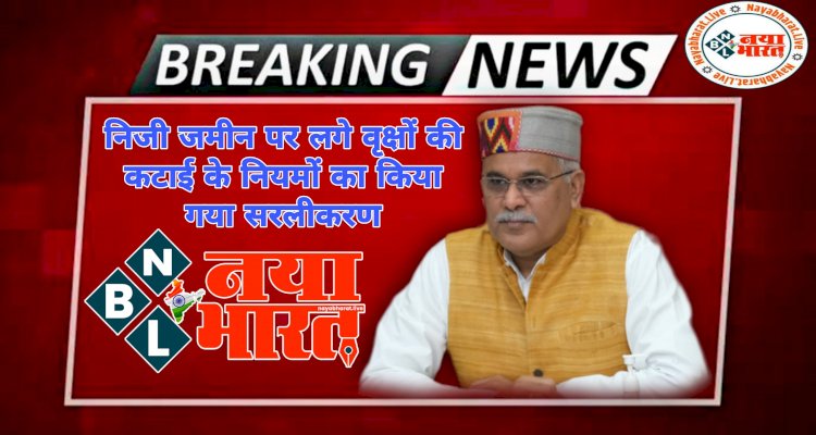 BIG NEWS: CG में SDM की अनुशंसा पर पेड़ों की कटाई.... CM भूपेश की घोषणा पर किया गया अमल.... वृक्षों की कटाई के नियमों का किया गया सरलीकरण.... राजपत्र में प्रकाशन के साथ ही नए नियम प्रभावशील.....