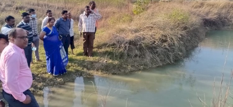 गौठानों में रूरल इंडस्ट्रियल पार्क एवं अन्य गतिविधियों का हो संचालन - रीता यादव